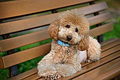 双重推理破解案中谜案 《谁是中之人》将于2025年发售